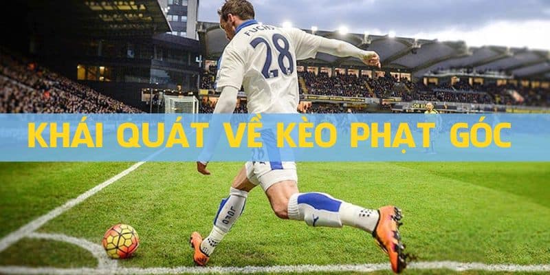 Kèo phạt góc được nhiều cược thủ lựa chọn trong cá độ bóng đá